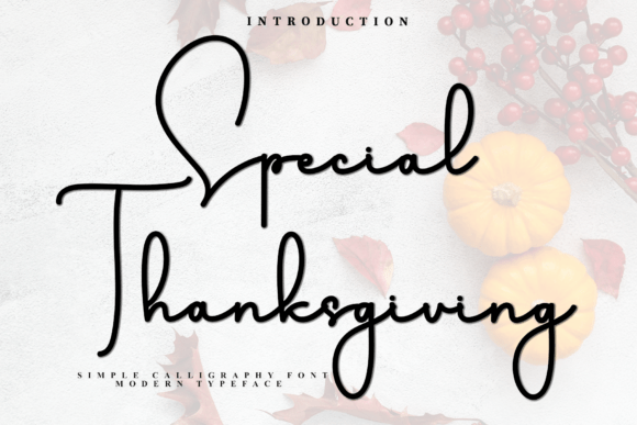 Special Thanksgiving Font: A Unique Design Asset